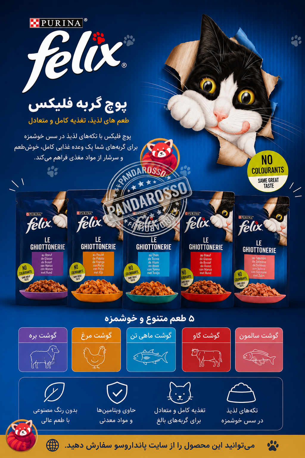 پوچ فلیکس