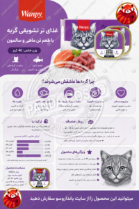 ووم گربه ونپی طعم سالمون و تن ماهی ۴۰ گرمی؛ بررسی کامل محصول، ترکیبات، مزایا و راهنمای خرید