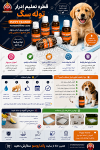 قطره تعلیم ادرار توله سگ (Puppy Trainer Liquid) چیست؟ راهنمای کامل آموزش جای ادرار سگ در خانه