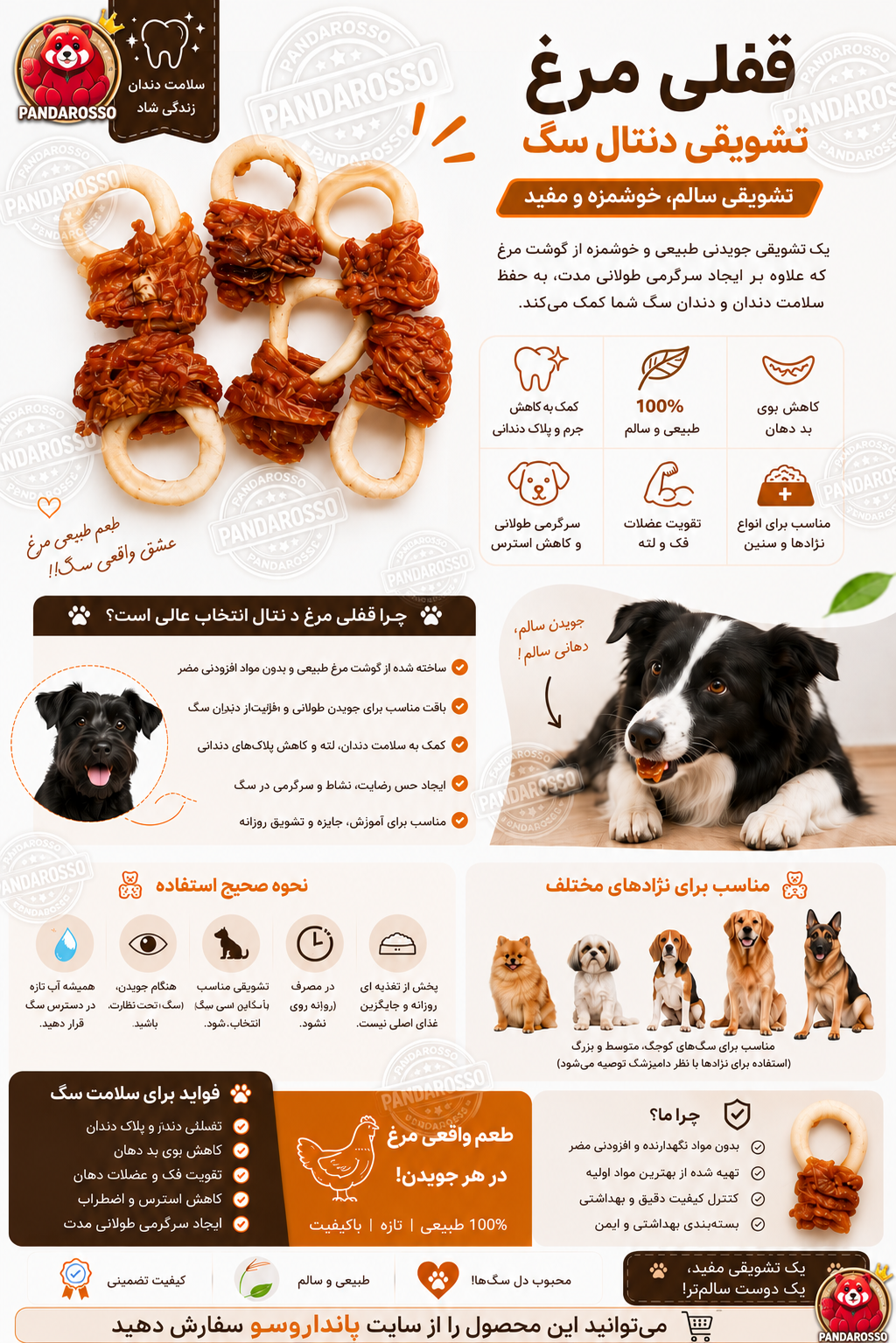 تشویقی دنتال سگ