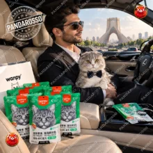 پوچ گربه ونپی Wanpy مرغ و میگو ۸۰ گرمی