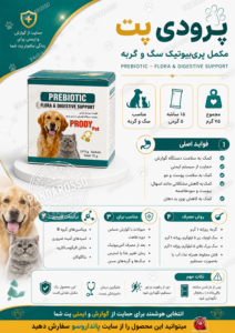 پری‌بیوتیک سگ و گربه چیست و چه کمکی به سلامت حیوان خانگی می‌کند؟