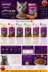 خرید پوچ ویسکاس، غذای مرطوب خوش‌خوراک برای گربه‌های سخت‌پسند | بررسی کامل مدل‌ها، طعم‌ها و ویژگی‌ها