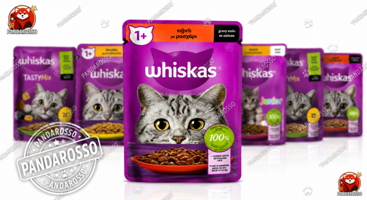پوچ ویسکاس گوشت گاو