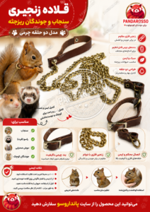 قلاده زنجیری سنجاب و جوندگان ریزجثه چیست؟ راهنمای کامل خرید قلاده چرمی مخصوص حیوانات کوچک