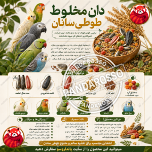 دان مخلوط طوطی‌سانان چیست؟ راهنمای کامل خرید دان ترکیبی مخصوص طوطی‌سانان