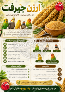 ارزن جیرفت چیست؟ راهنمای کامل خرید دان مخصوص پرندگان و طوطی‌سانان