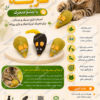 خرید موش پارچه‌ای گربه با چشم متحرک؛ اسباب‌بازی سبک برای تحریک غریزه شکار