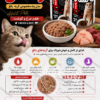 خرید کنسرو گربه راماس پته مرغ و گوشت ۴۰۰ گرم؛ غذای تر خوش‌خوراک برای گربه بالغ
