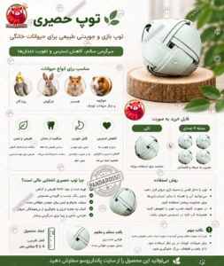 بازی توپ حصیری جویدنی
