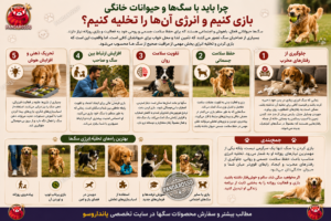 چرا باید با سگ‌ ها بازی کنیم و انرژی آن‌ها را تخلیه کنیم؟