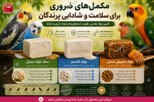 سنگ بلوک مینرال، بلوک کلسیم و بلوک تشویقی عسلی؛ 3 مکمل ضروری برای سلامت پرندگان زینتی