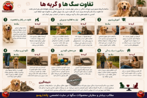 تفاوت سگ‌ ها و گربه‌ ها ؛ کدام حیوان خانگی برای شما مناسب‌تر است؟