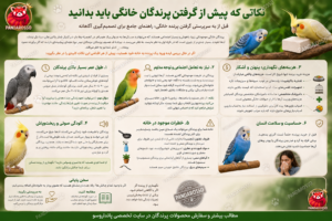 نکاتی که پیش از گرفتن پرندگان خانگی باید بدانید