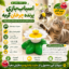 خرید اسباب‌بازی گربه مدل پرنده چرخان؛ سرگرمی جذاب برای گربه‌های خانگی