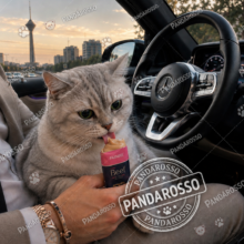 بستنی پیشگیری و درمان فنبی