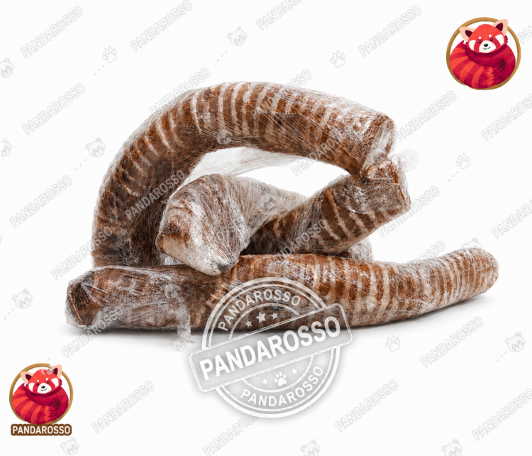 حلقوم (نای) کامل گاو