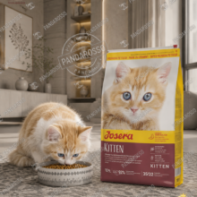 غذای خشک گربه جوسرا کیتن