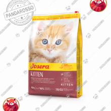 جوسرا کیتن (گربه شیرده، بچه گربه و گربه باردار) 1 کیلوگرمی